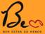 Сайт van de BEM